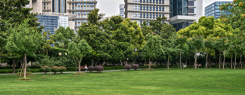 Public park near office buildings