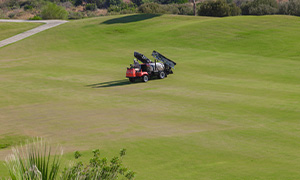 Geese free golf course area